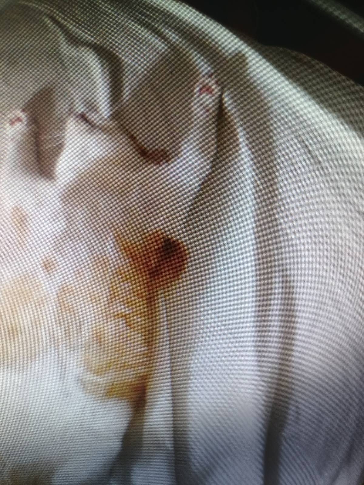 Garfield being crucified ca. 30 AC
