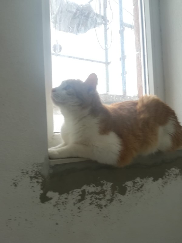 Garfield on the set of a music video