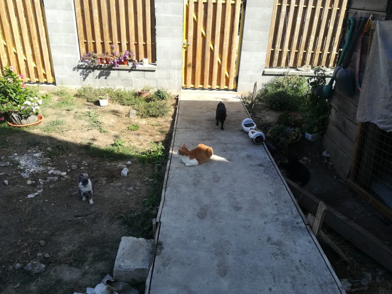 Garfield outsides